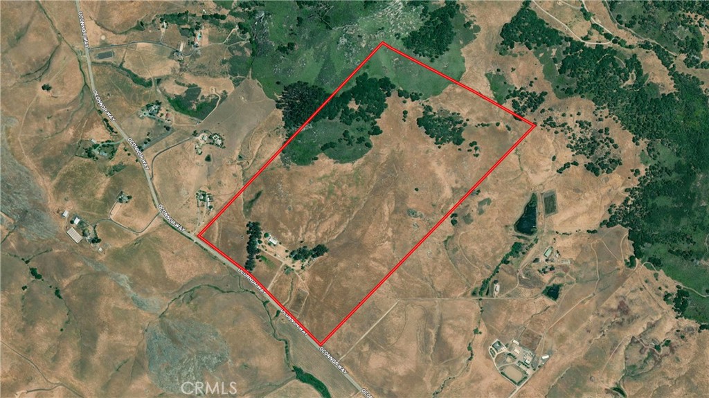 MLS #SC25063085 image #49