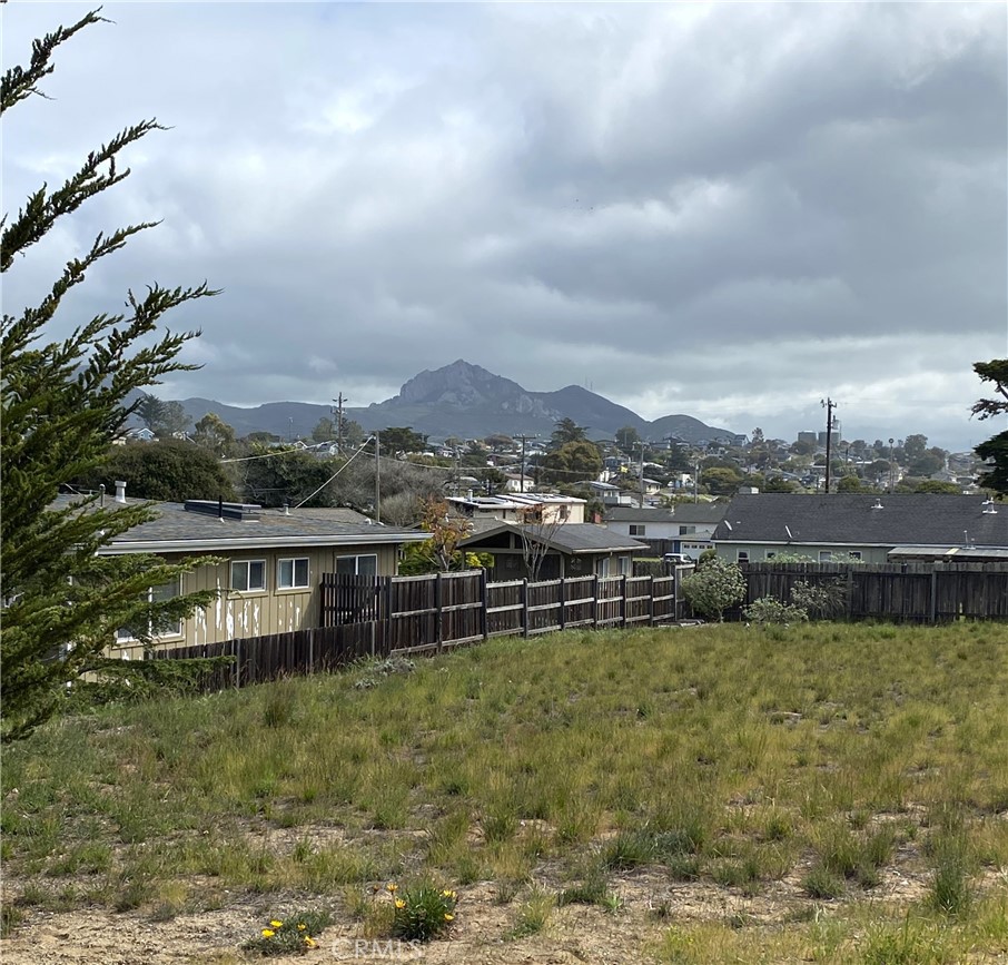 MLS #SC25067125 image #2