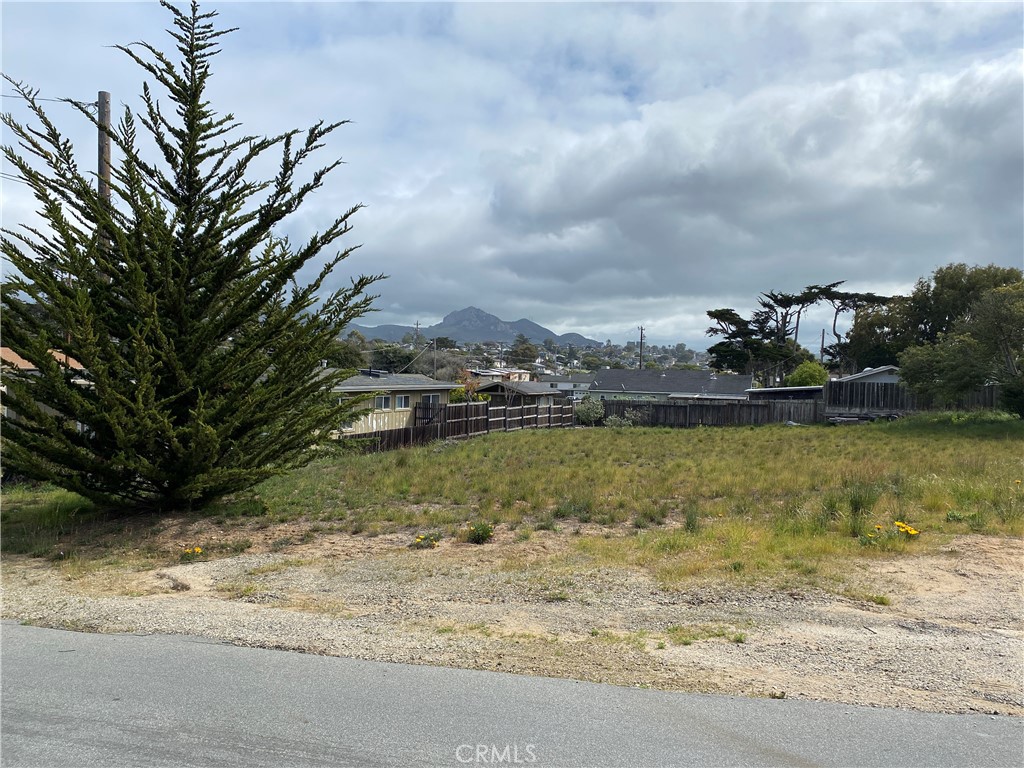 MLS #SC25067125 image #3