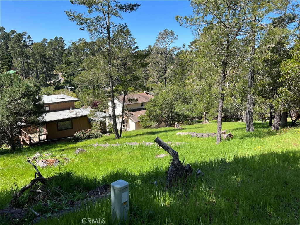 MLS #SC25072345 image #10