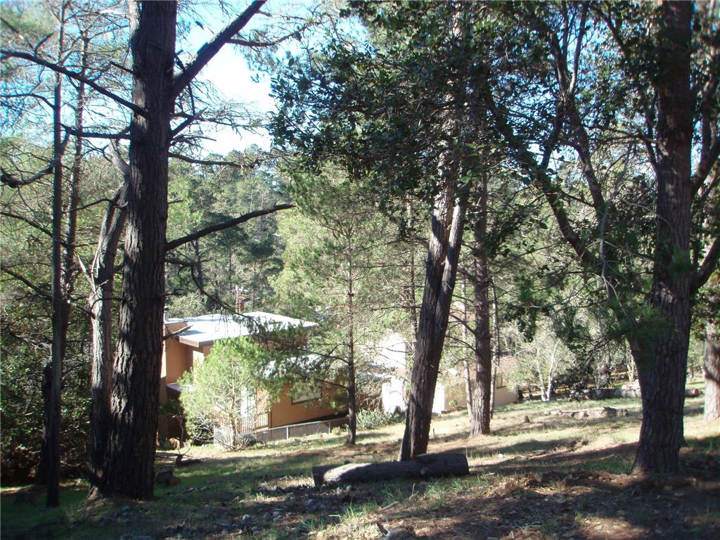 MLS #SC25072345 image #2