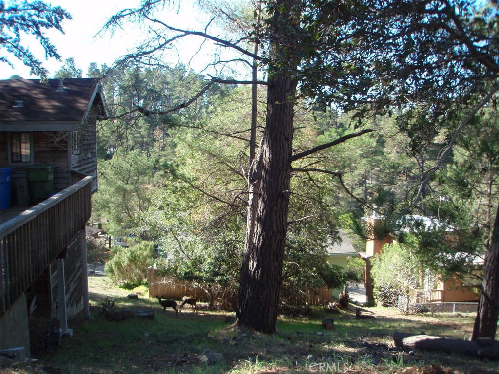 MLS #SC25072345 image #6