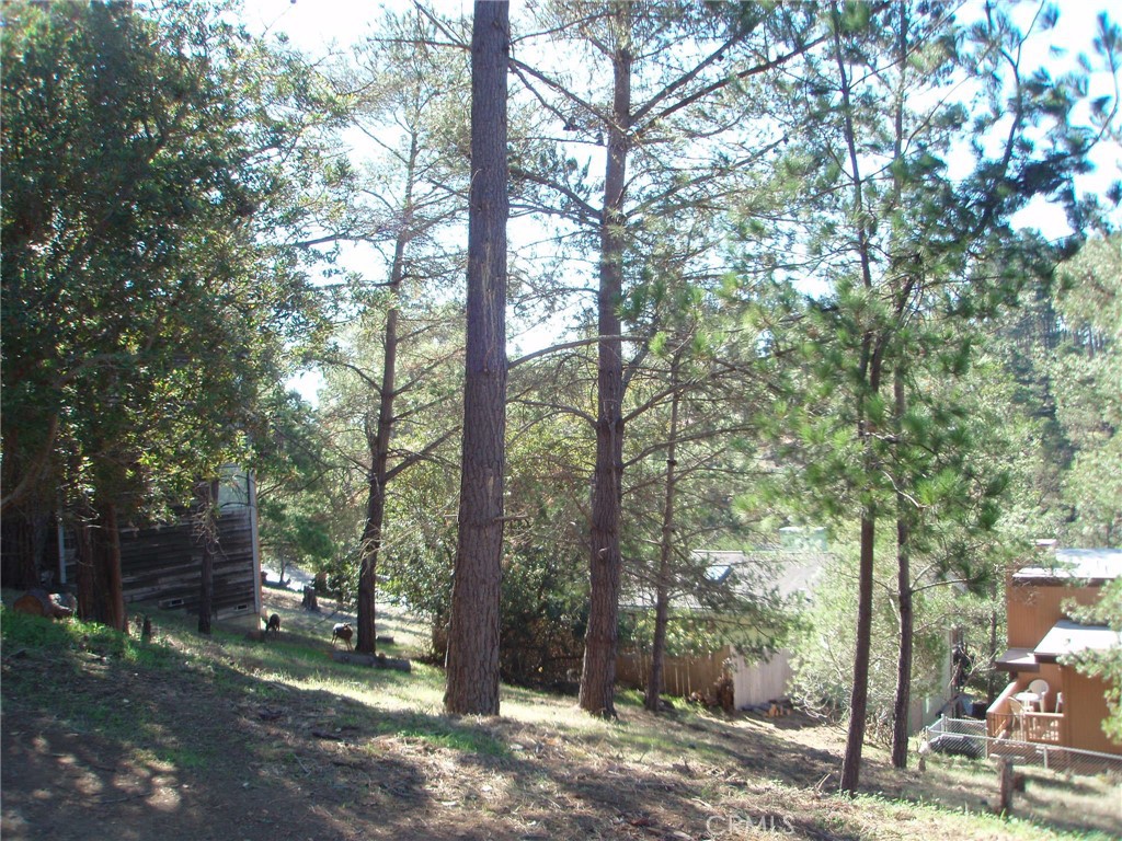 MLS #SC25072345 image #7