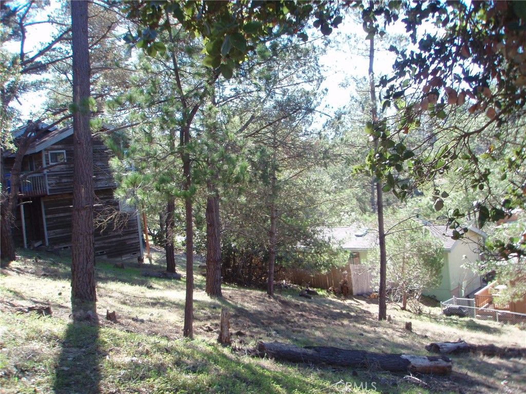 MLS #SC25072345 image #8