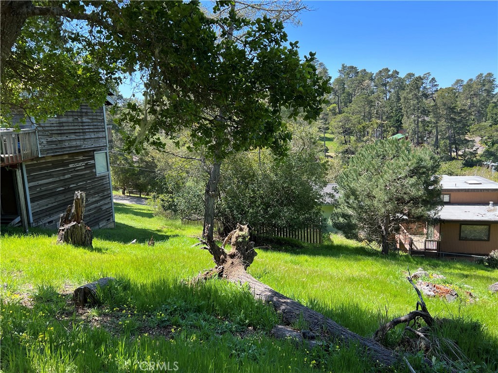 MLS #SC25072345 image #9