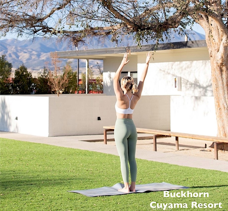 MLS #SC25072404 image #20