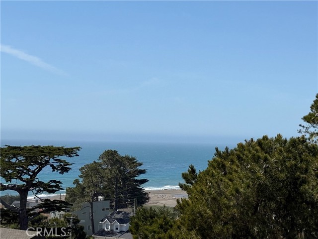 MLS #SC25073917 image #5