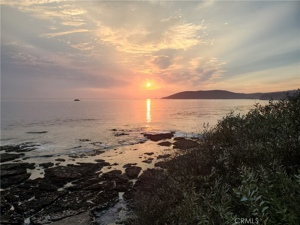 MLS #SC25076810 image #36