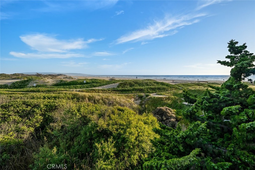 MLS #SC25077010 image #14