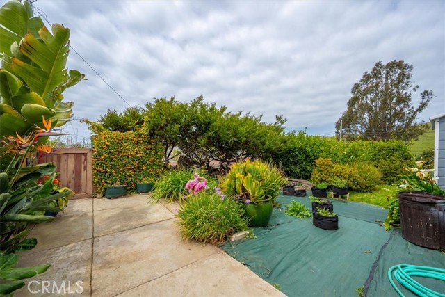 MLS #SC25084896 image #65
