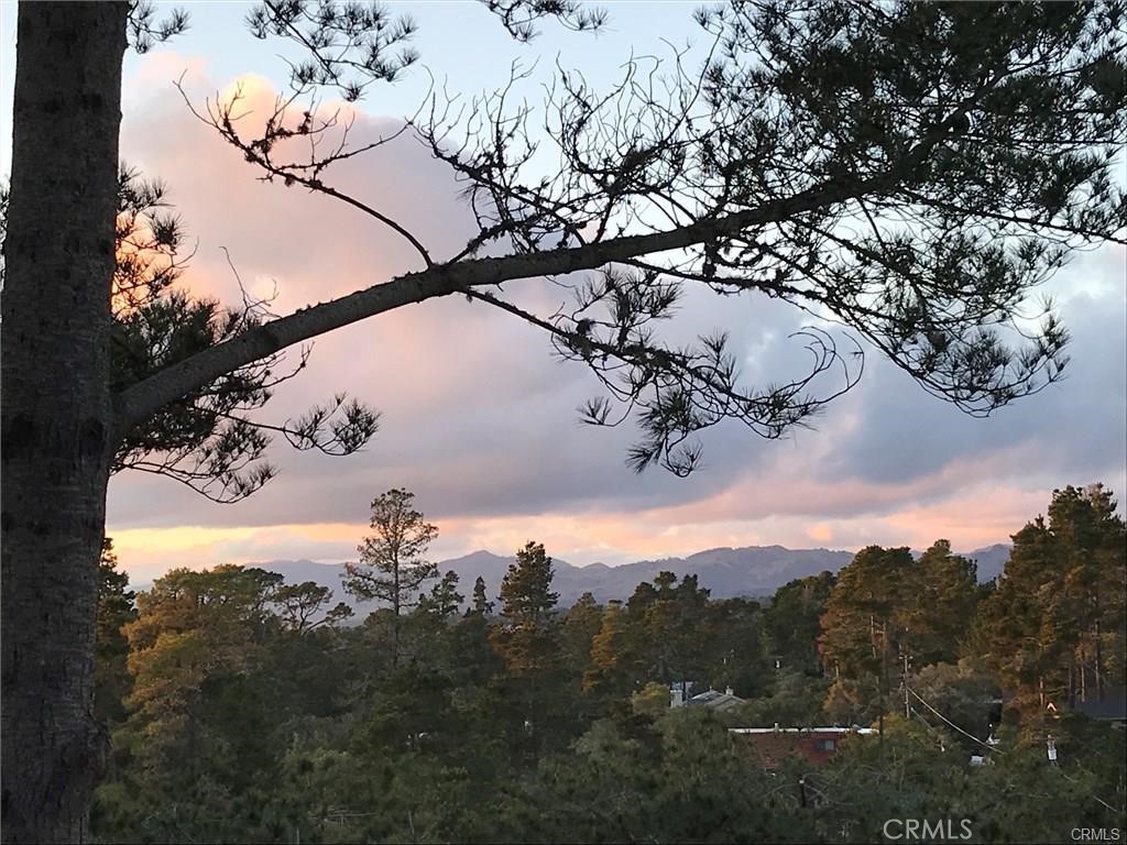 MLS #SC25087795 image #24