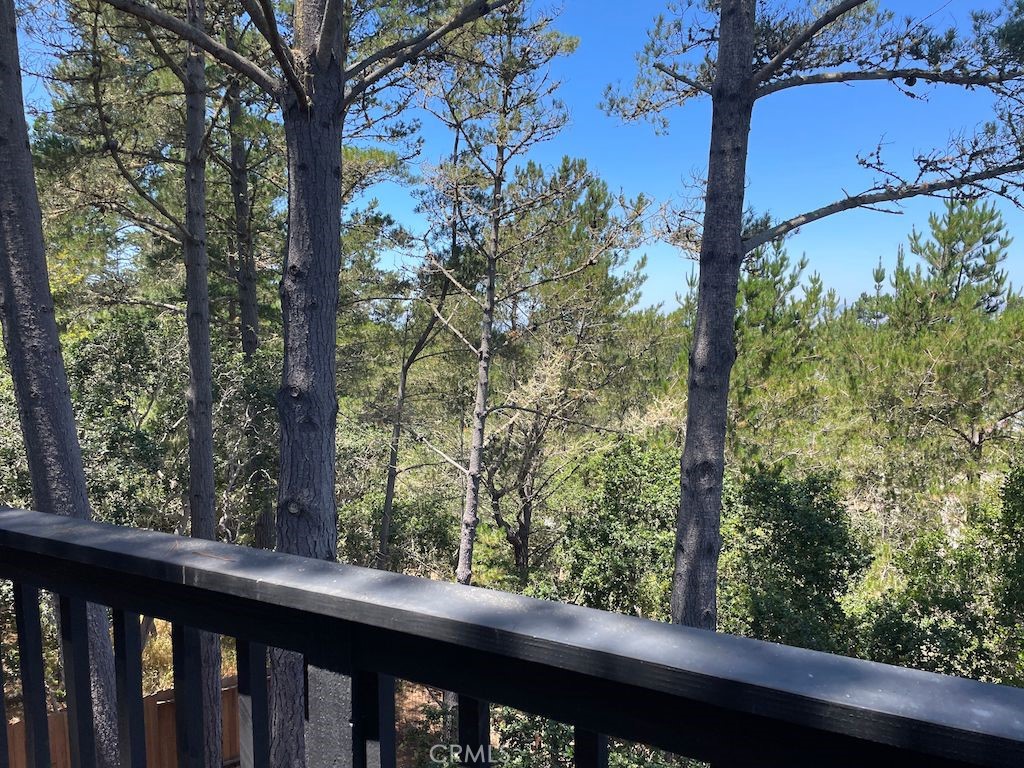 MLS #SC25087795 image #25