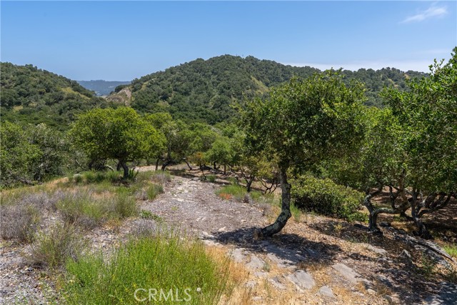 MLS #SC25099317 image #47