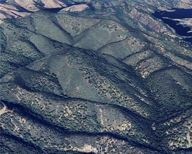 MLS #SC25101554 image #5