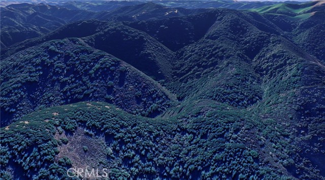 MLS #SC25101554 image #6