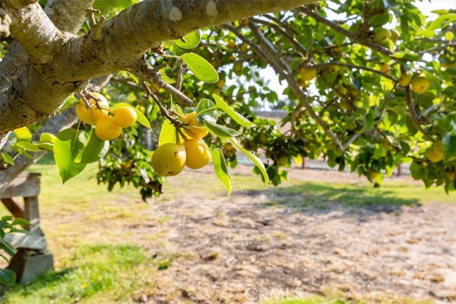 MLS #SC25103502 image #71