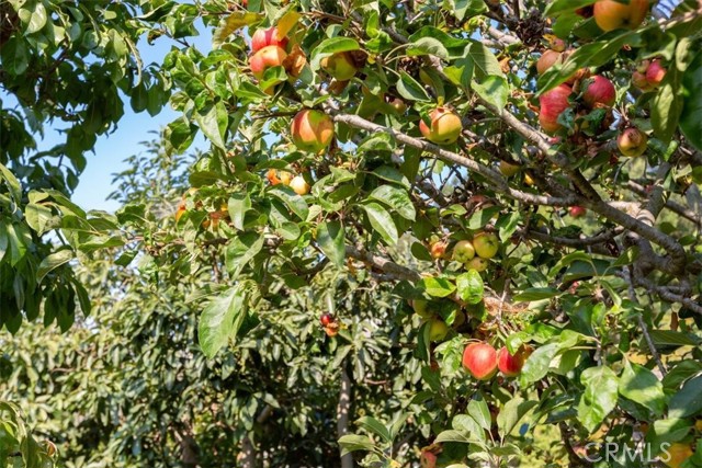 MLS #SC25103502 image #72