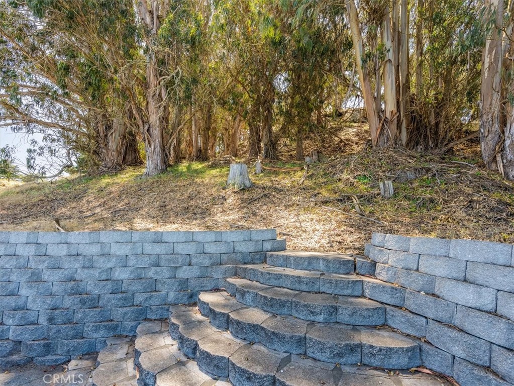 MLS #SC25107871 image #57