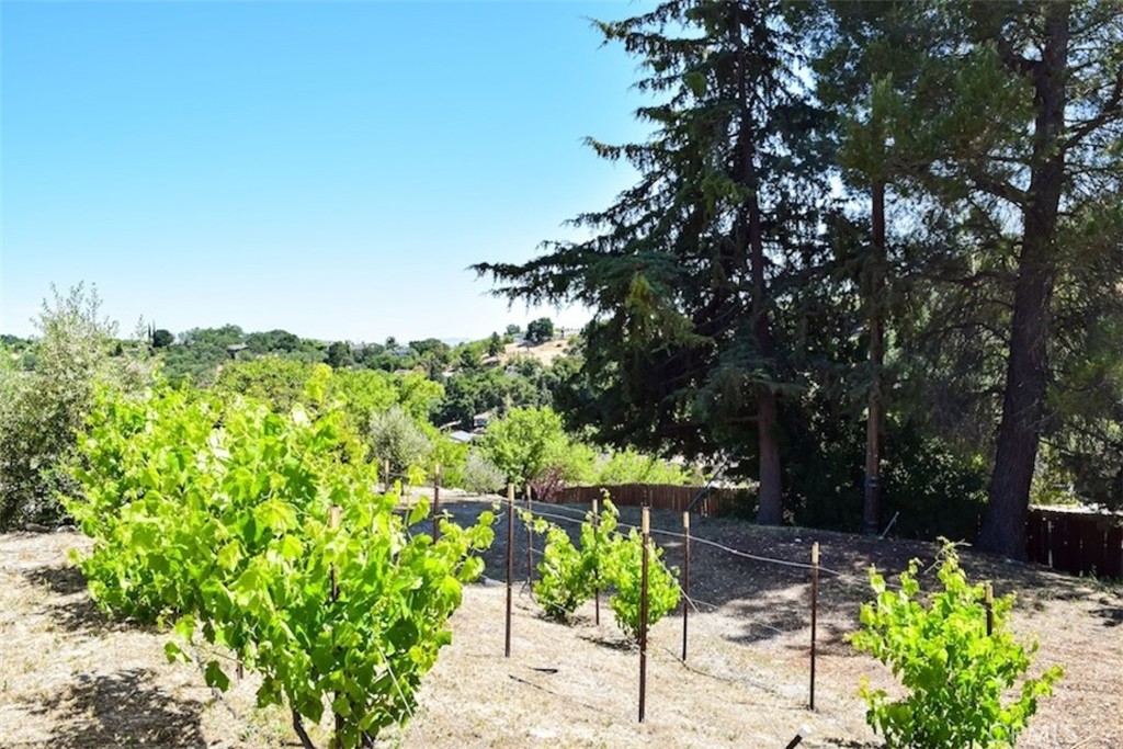 MLS #SC25109840 image #33