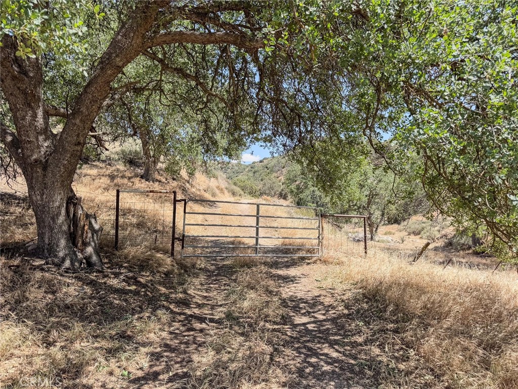 MLS #SC25110320 image #8