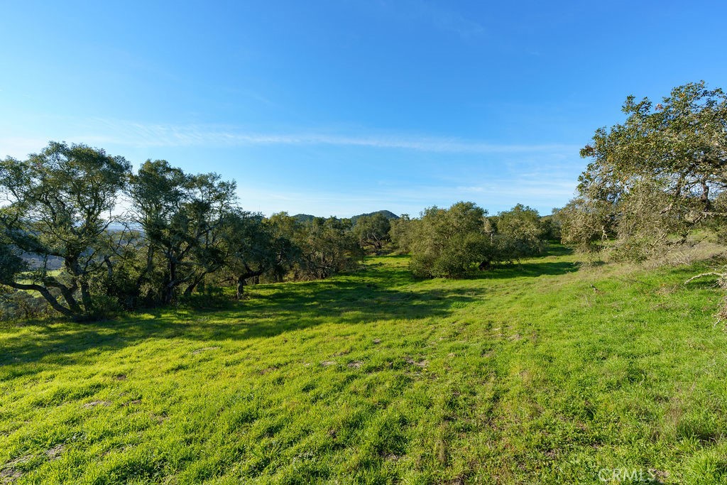 MLS #SC25113286 image #11