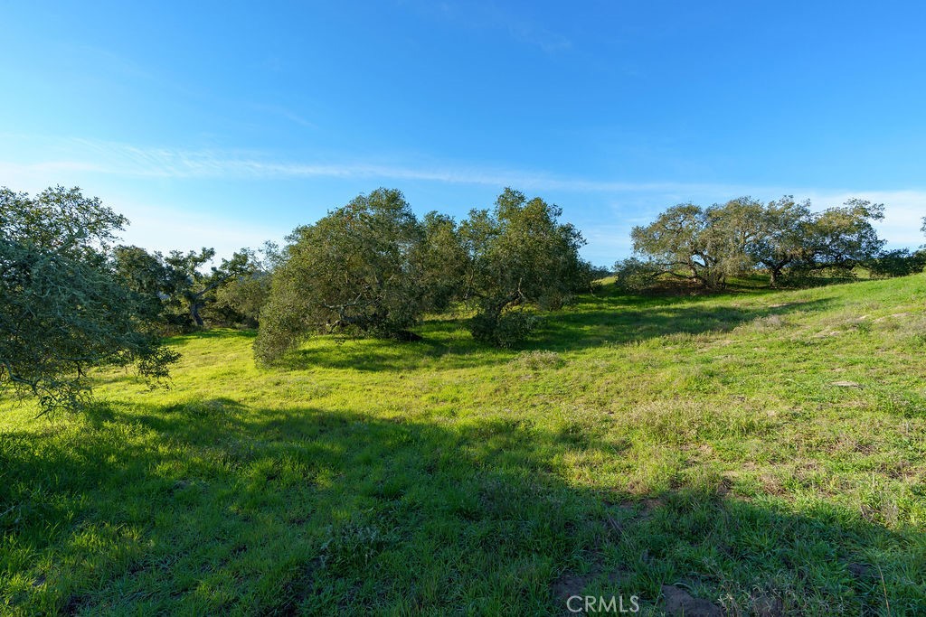 MLS #SC25113286 image #13