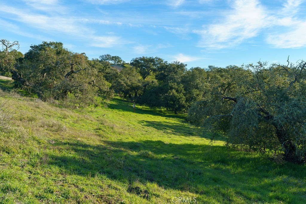 MLS #SC25113286 image #14