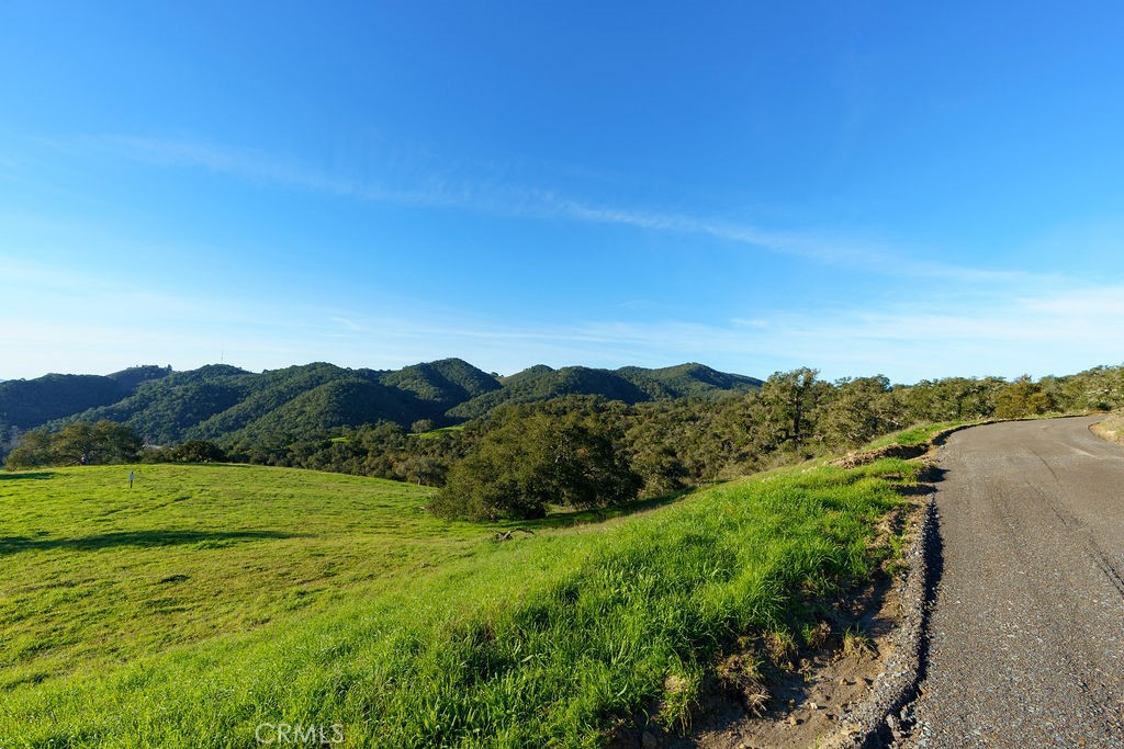 MLS #SC25113286 image #16