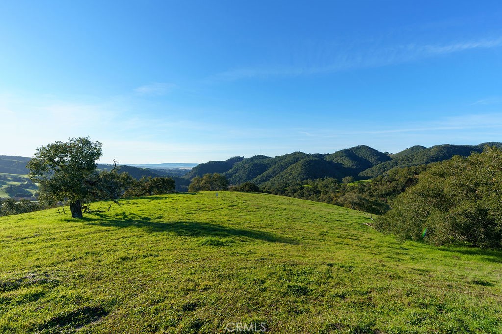 MLS #SC25113286 image #17