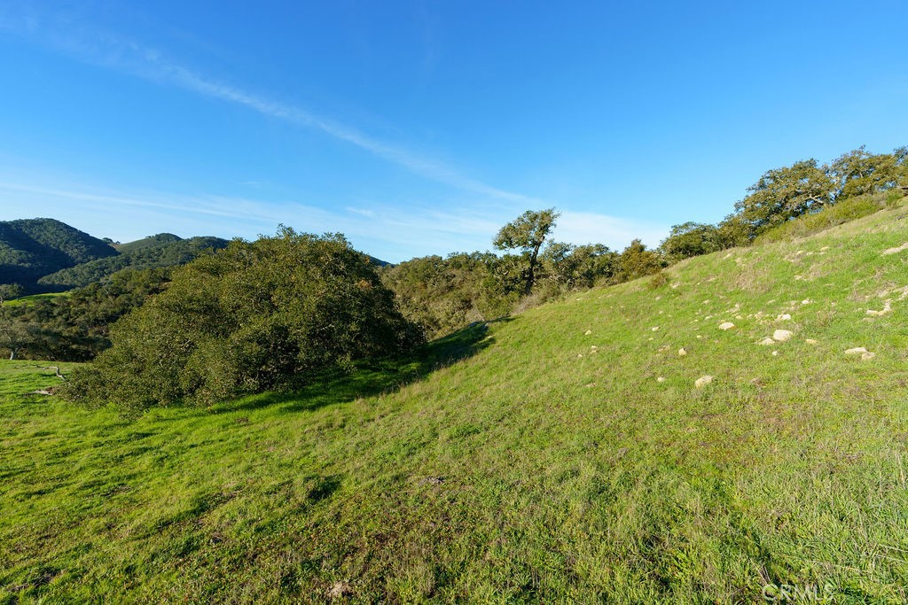 MLS #SC25113286 image #18