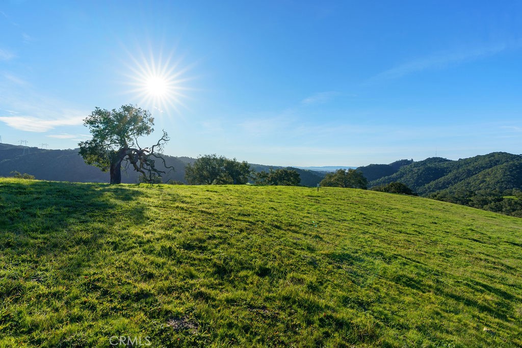 MLS #SC25113286 image #19