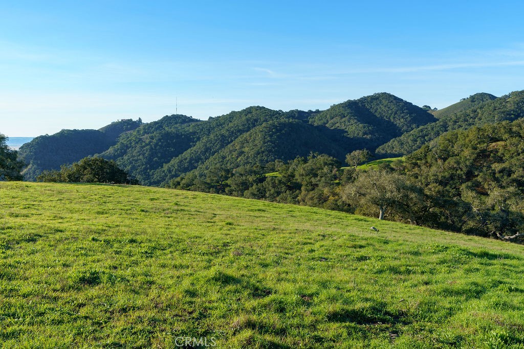 MLS #SC25113286 image #20