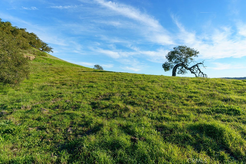 MLS #SC25113286 image #21