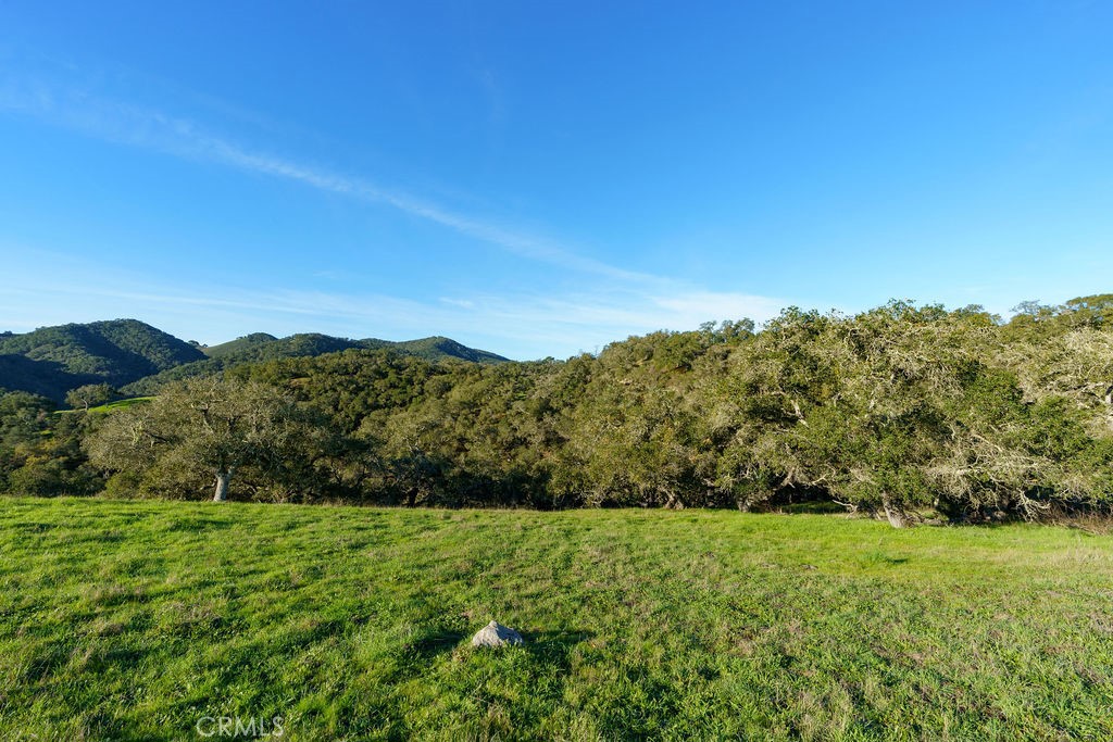 MLS #SC25113286 image #22