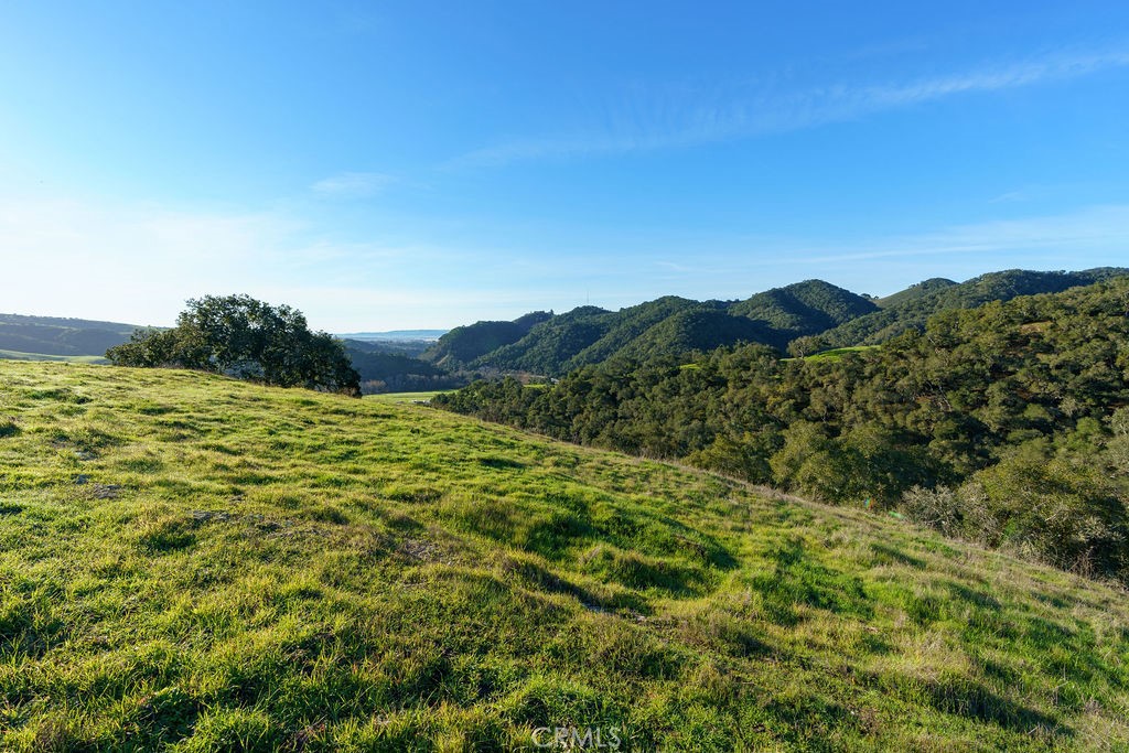 MLS #SC25113286 image #23