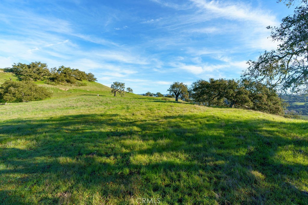 MLS #SC25113286 image #24