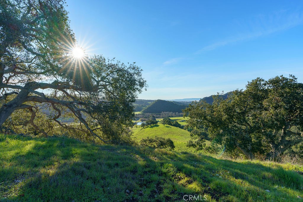 MLS #SC25113286 image #25