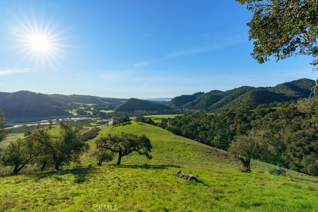 MLS #SC25113286 image #26