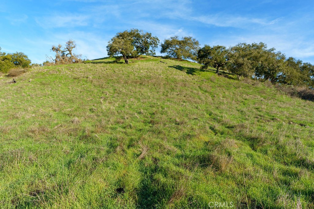 MLS #SC25113286 image #27