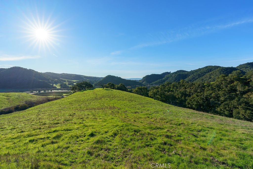 MLS #SC25113286 image #28