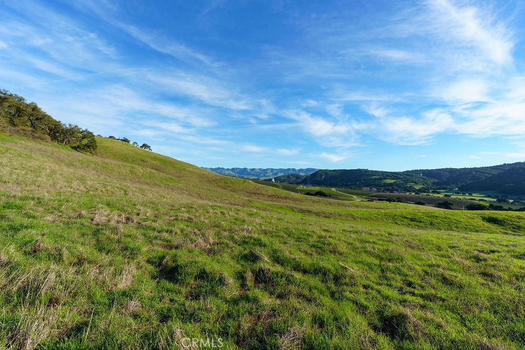 MLS #SC25113286 image #29