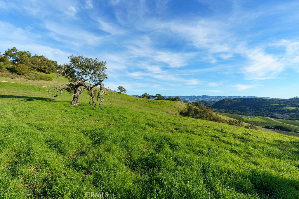 MLS #SC25113286 image #30