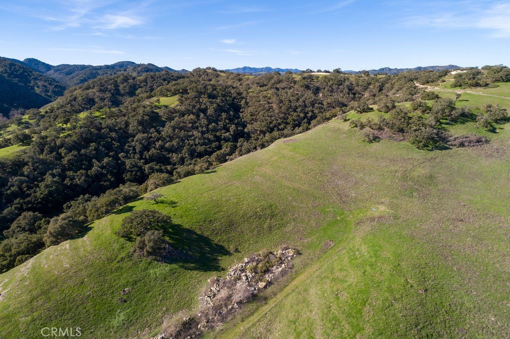 MLS #SC25113286 image #33