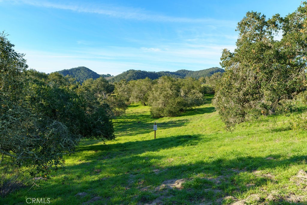 MLS #SC25113286 image #6