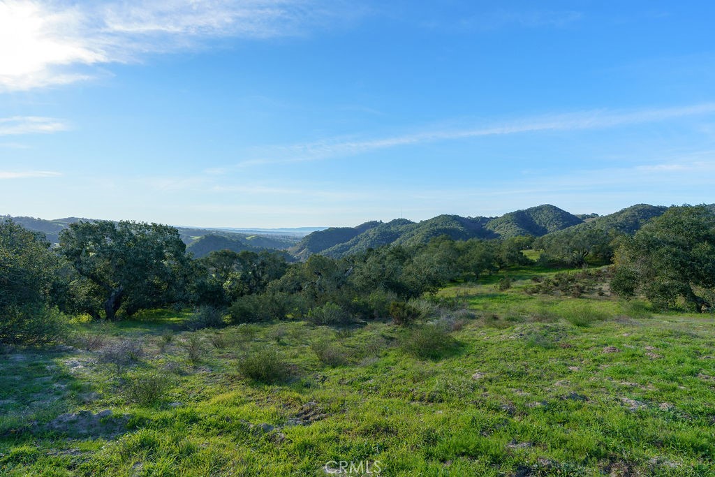 MLS #SC25113286 image #9