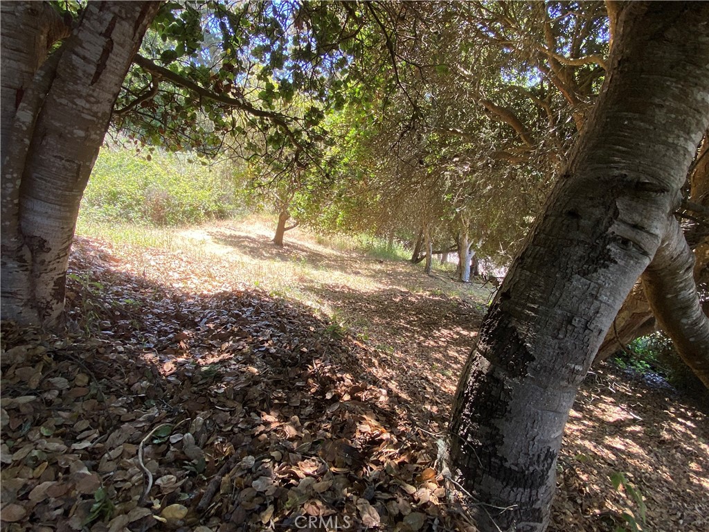 MLS #SC25114625 image #8