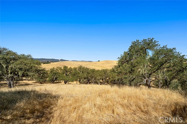 MLS #SC25114780 image #46