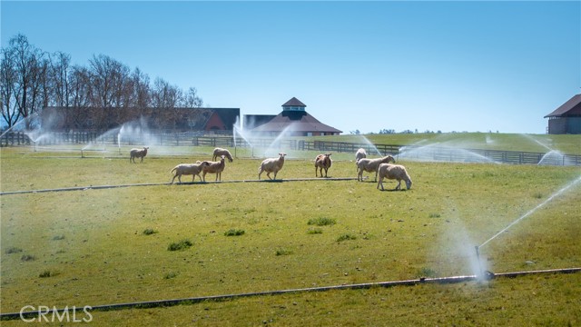 MLS #SC25117762 image #4