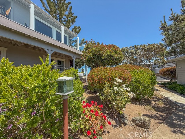 MLS #SC25118536 image #32