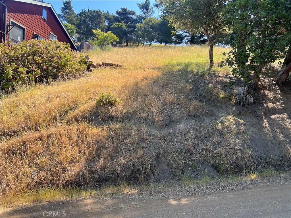 MLS #SC25120944 image #1